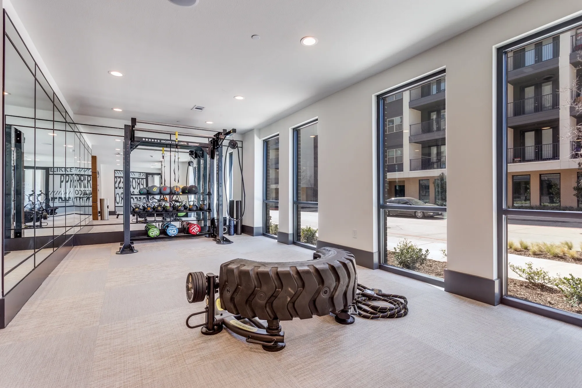 Functional training area with turf