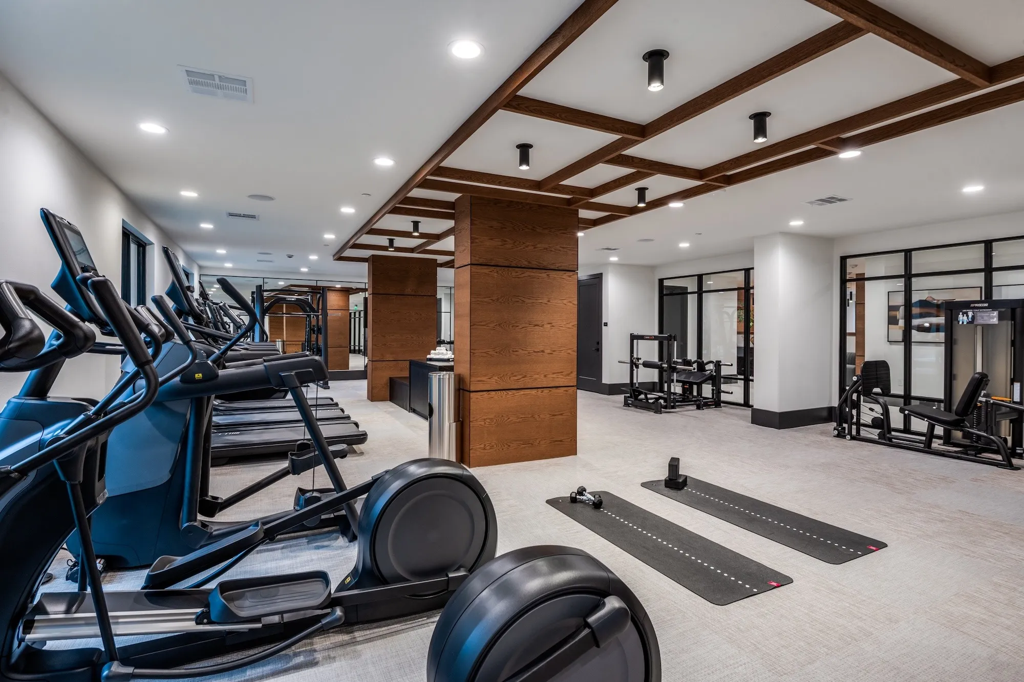 Cardio equipment in the health club