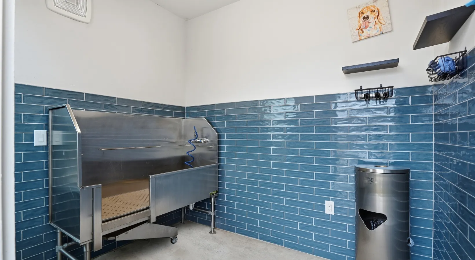Pet wash station