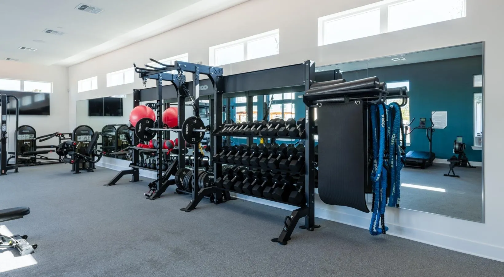 Fitness center with free weights and strength equipment