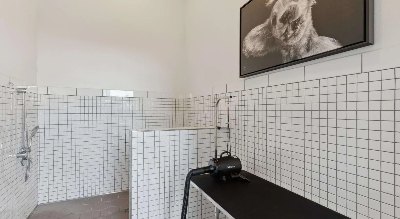 Alta Marine Creek - Alta Marine Creek is a pet-friendly community!