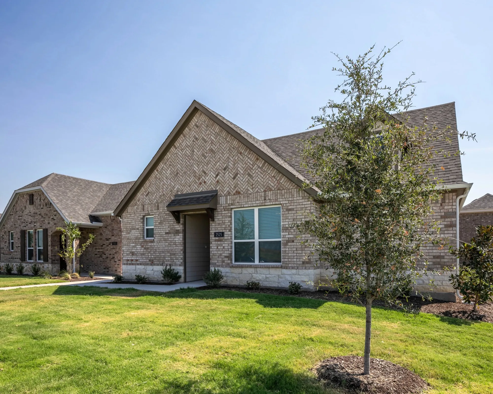 Home exterior and landscaping at Amavi Celina