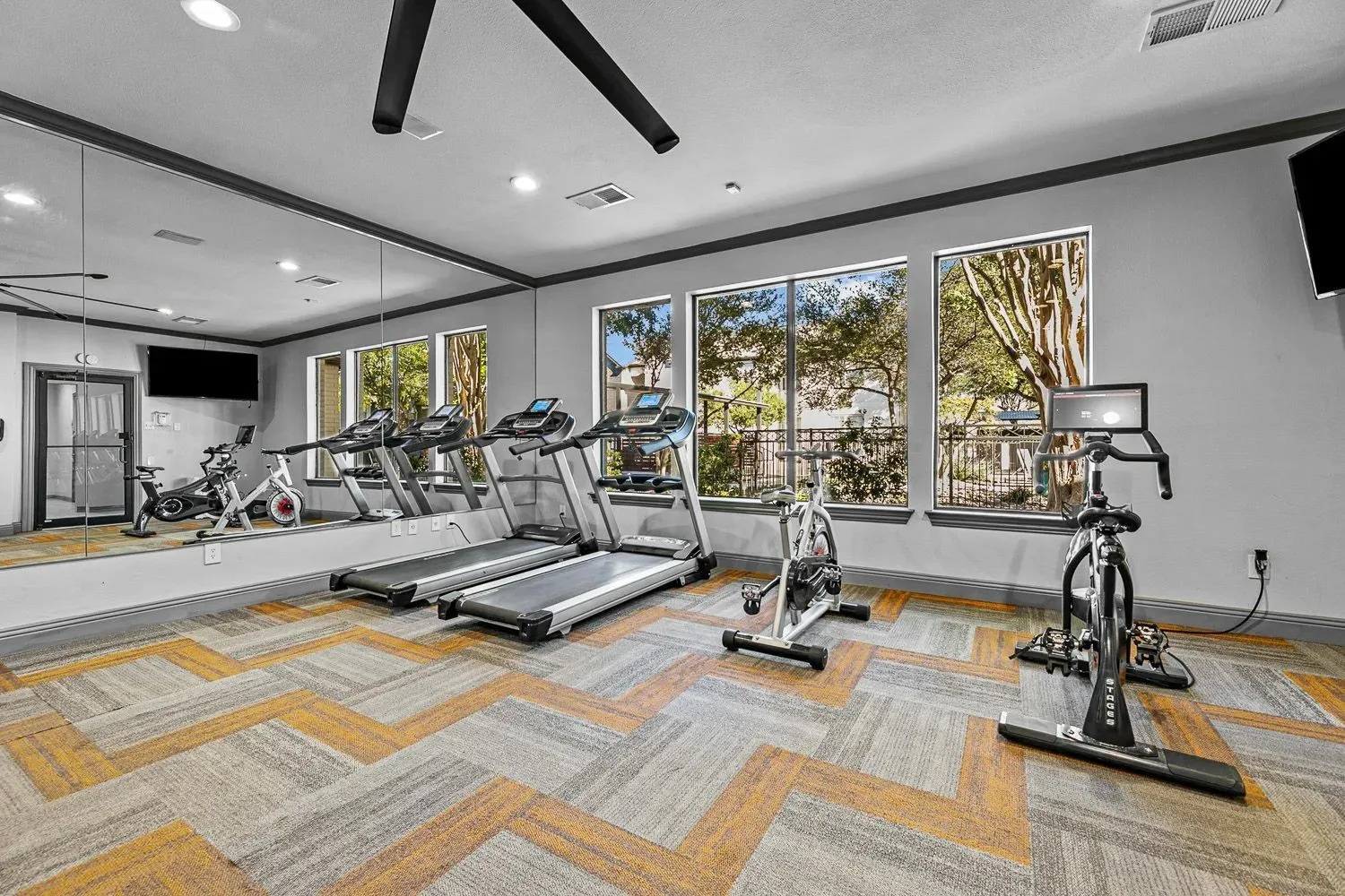 Fitness center with treadmills and cycles at 29Fifty
