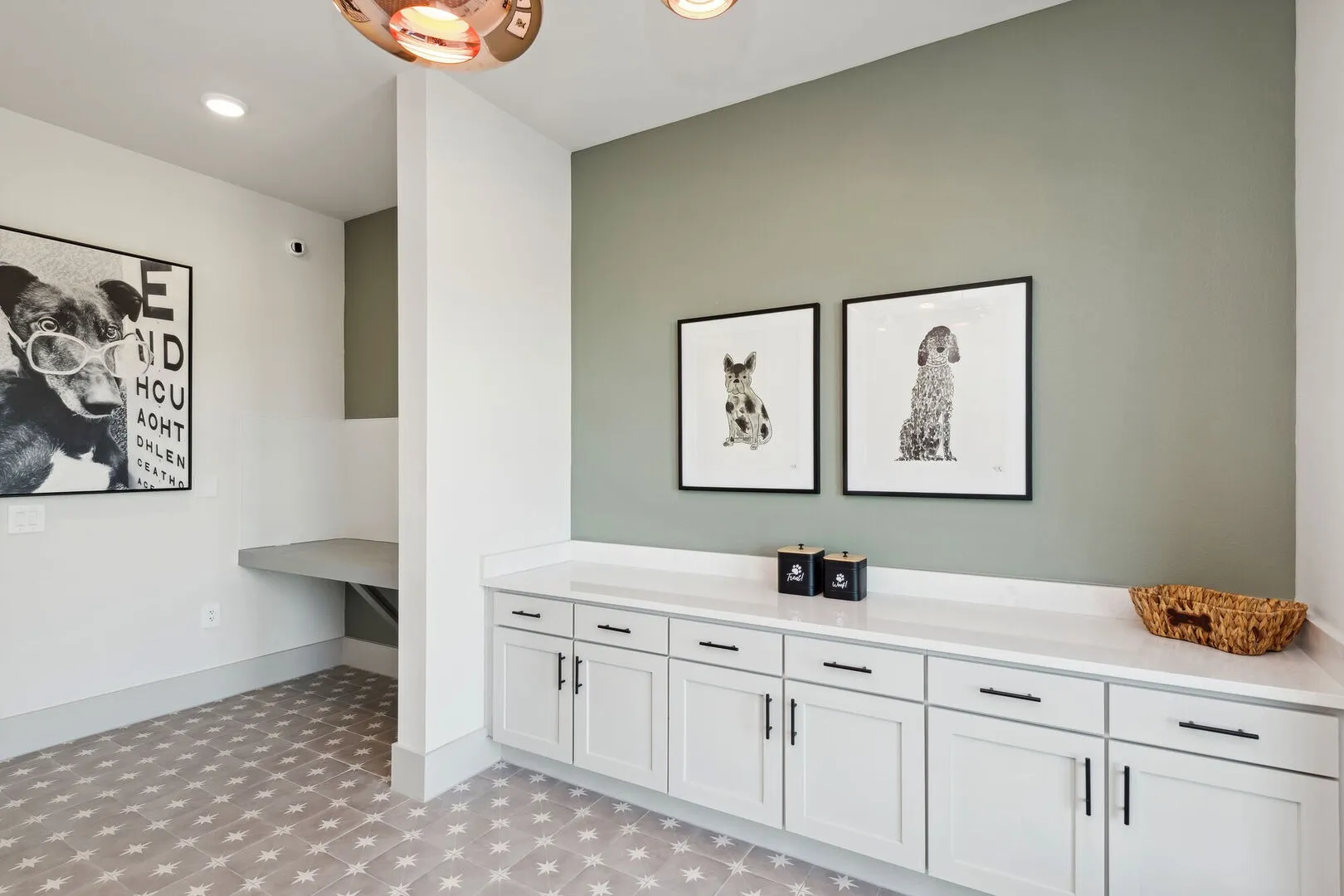 Pet Spa at Ascend at Celina Hills