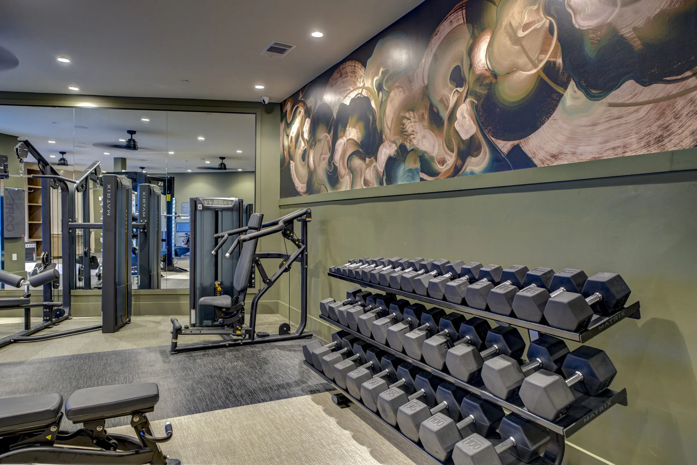 Fitness Center at Alexan by the Galleria